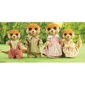 Families